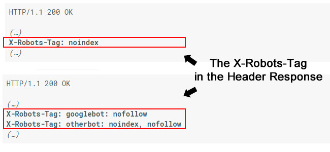 Nofollow в X-Robots-Tag