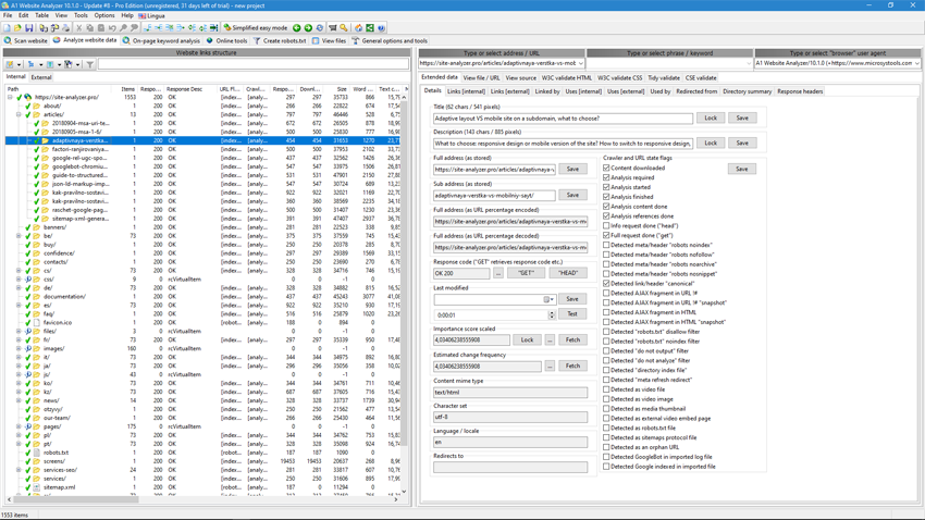 A1 Website Analyzer